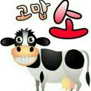 뇌건강 웃음치료운동 이미지