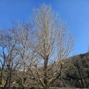 산조대금(목) | 3. 수. <경남권 인문열차> 1일차: 선비탐방/선비다례/선비간찰/선비풍류 후기 in 영주 한국선비문화수련원