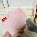 버터샵 명동점, 아이랑 갈만한곳 명동 캐릭터샵 추천!