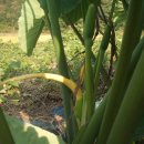 상순농장 이미지