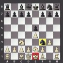 체크메이트 이미지