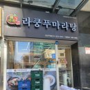 라쿵푸강남