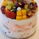 티라 061 이미지