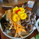 포천한우명가 | 포천에서 몸보신 제대로, 버섯 한우 샤부샤부 맛집 청산별미 청산명가 후기