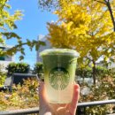 270-2022 | 스타벅스 코코말차 내돈내산 진짜솔직후기 2025 winter e프리퀀시 실물 리뷰 LG 마이컵 텀블러세척 매장