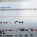 스타인라인스쿨