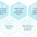 케이라인의원