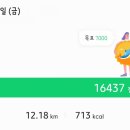 갈비나라 이미지