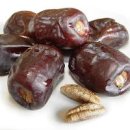 대추야자 효능 칼로리 열매 부작용 이미지