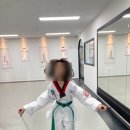 용인대마루태권도장 이미지