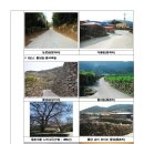 여수길 Daum카페