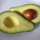 아보카도 이미지