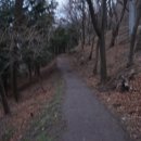 11월21일,금요일,천마산 야간 도보 이미지