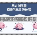 뇌와 몸을 깨우는 뇌체조(오후) 이미지