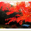 가재골산장 이미지