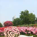 용마산로23길 네이버블로그