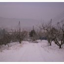 섬지뜰농장 이미지