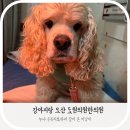 도원의원 이미지