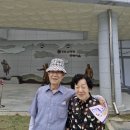 신지식육식당