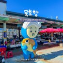 2271 | 묵호항 오징어회 포장 후기｜독도수산 가격·손질비용·주차