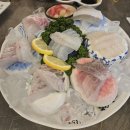 관저오징어나라 | [맛집추천] 관저동 횟집 관저동 먹자골목 횟집 맛집 4곳 추천!
