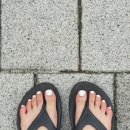 디유티끄