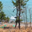 문탠로드 이미지