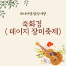 죽화경 티스토리