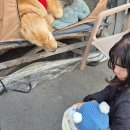 베이커리 | 충남 공주 동학사 카페 추천｜바르비종동학사 무방제 베이커리 후기