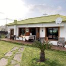 니나노 제주 이미지