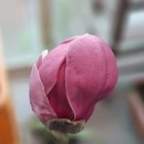 입석리농장 이미지