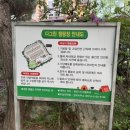 영월 여행 나는솔로 28기 촬영지 다그린 캠핑장 파쇄석 후기