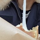 남산강변로 | 20260115 결국 다녀온 경주 👑