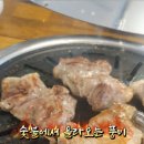 계룡숯불닭갈비앤닭보쌈 이미지