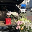 오디플레르 | 대구 쏘렌토 suv 트렁크프로포즈 후기 🤍✨ | 오디플레르