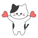 아리아폴 이미지