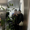 마인드멜드 | 샤로수길카페 딸기케이크 맛집 마인드멜드 솔직후기