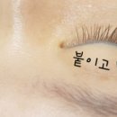 붙이고 반하다