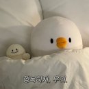 호텔더브라운 이미지