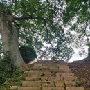 식영정 | 남도 영산강 가을여행 코스 추천｜몽탄 코스모스–무안 식영정–나주 느러지 전망대 하루 코스 (10월 초...