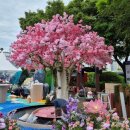 (주)코리아세븐 반포3호점 | 🌸 포스코 판타스틸 밸리에 꿈의 정원이 피어났다! LCK MSI 선발전 현장의 환상적인 5m 초대형 꽃나무 🌸