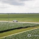 일리노이치과 이미지