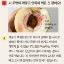 과일꾼 | 과일꾼 신비복숭아 내돈내산 솔직 후기 | SNS에서 난리난 이유