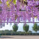 이가정의원 이미지