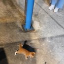 다움떡집 이미지