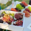 현농장2호 이미지