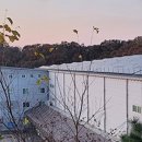 2023.09.08(금) 다산네트웍스 #재건 #6G