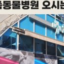 보령동물병원 이미지