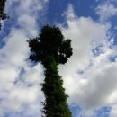 두밀촌 낚시터 이미지