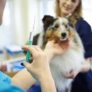 베이지동물병원 이미지